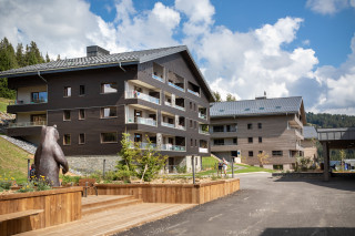 chalets-des-cimes-les-saisie