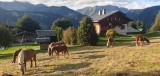 Les Chamois_Crest-Voland