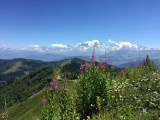 Aux-chalets-des-alpes, Crest-Voland, Savoie - © Bouchex Céline Aux-chalets-des-alpes, Crest-Voland, Savoie