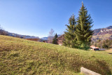 _lv_images__lot_0000220224_05_5851799
