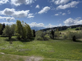 _lv_images__lot_0001470409_14_18708257