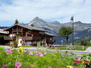 _clients_227359002_photos_223a_15801046