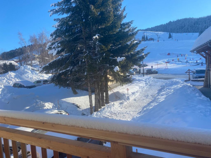 Vue du balcon sur les pistes de ski - © Flavigny Catherine Vue du balcon sur les pistes de ski