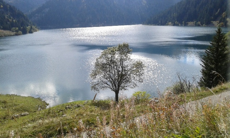 Lac de Montagne - © MCG Lac de Montagne