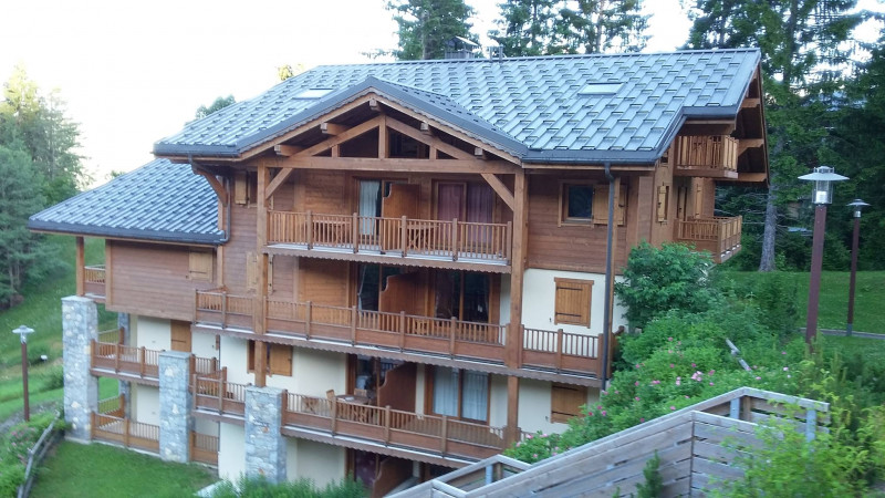 Ourson D21 Ourson D21