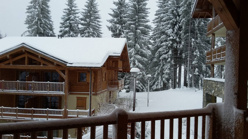 Ourson D21 Ourson D21