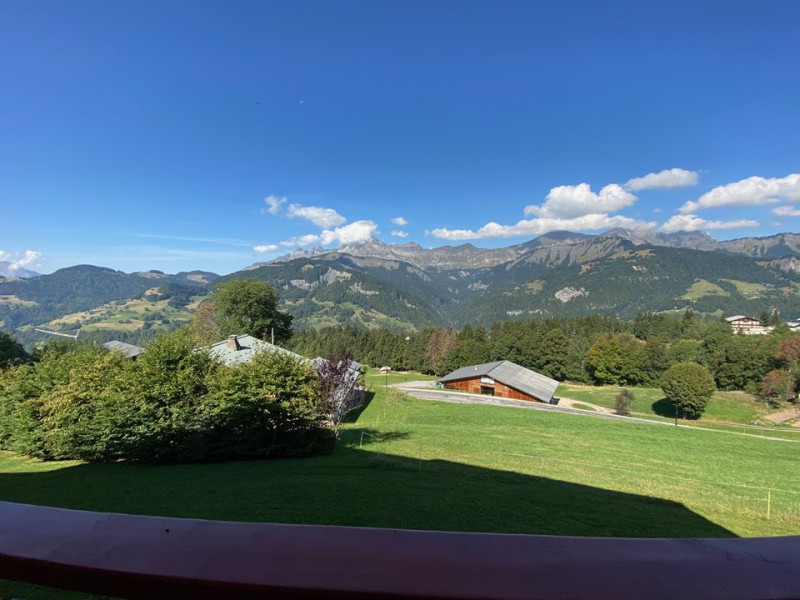 _clients_227359002_photos_158p_16607416 _clients_227359002_photos_158p_16607416