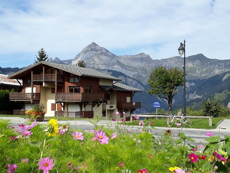 _clients_227359002_photos_223a_16287015