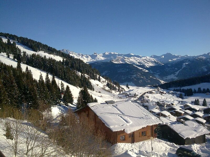 _clients_227362001_photos_17396y_15870198