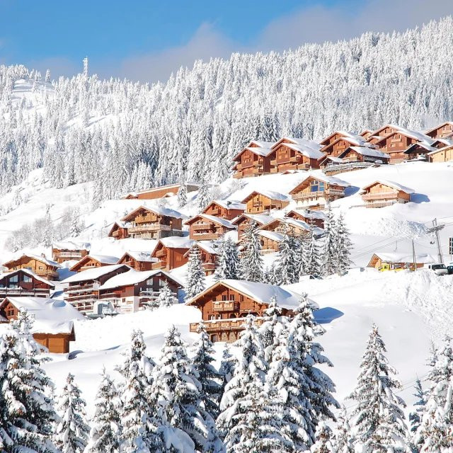 _clients_227362001_photos_17552aa_16265873