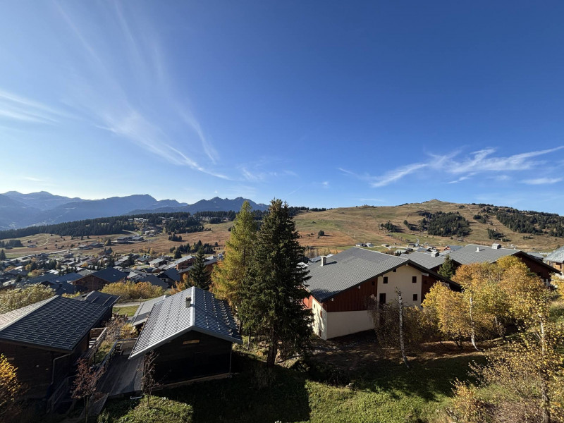 _lv_images__lot_0001130022_11_18896437