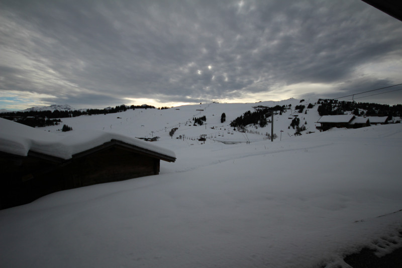 _lv_images__lot_0100000029_09_10786298